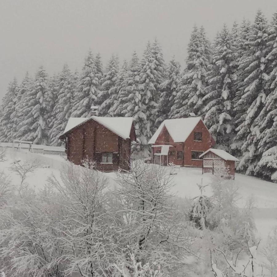 Sadyba Drymba Skhidnytsia Exterior foto