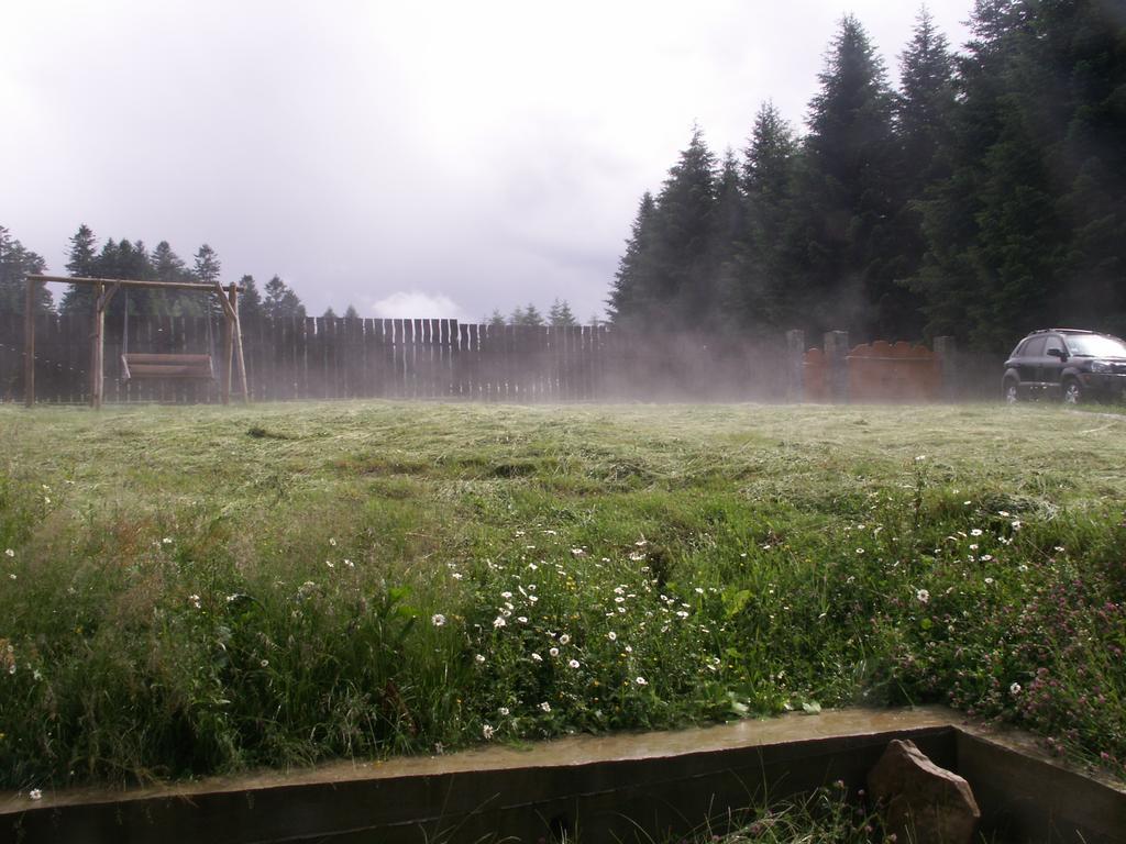 Sadyba Drymba Skhidnytsia Exterior foto