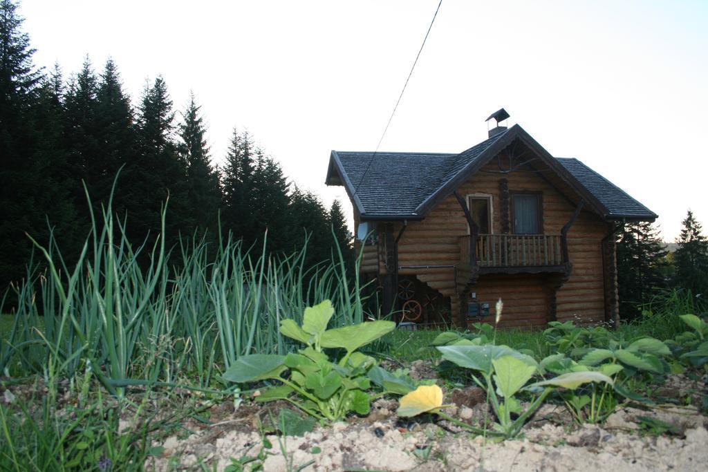 Sadyba Drymba Skhidnytsia Exterior foto