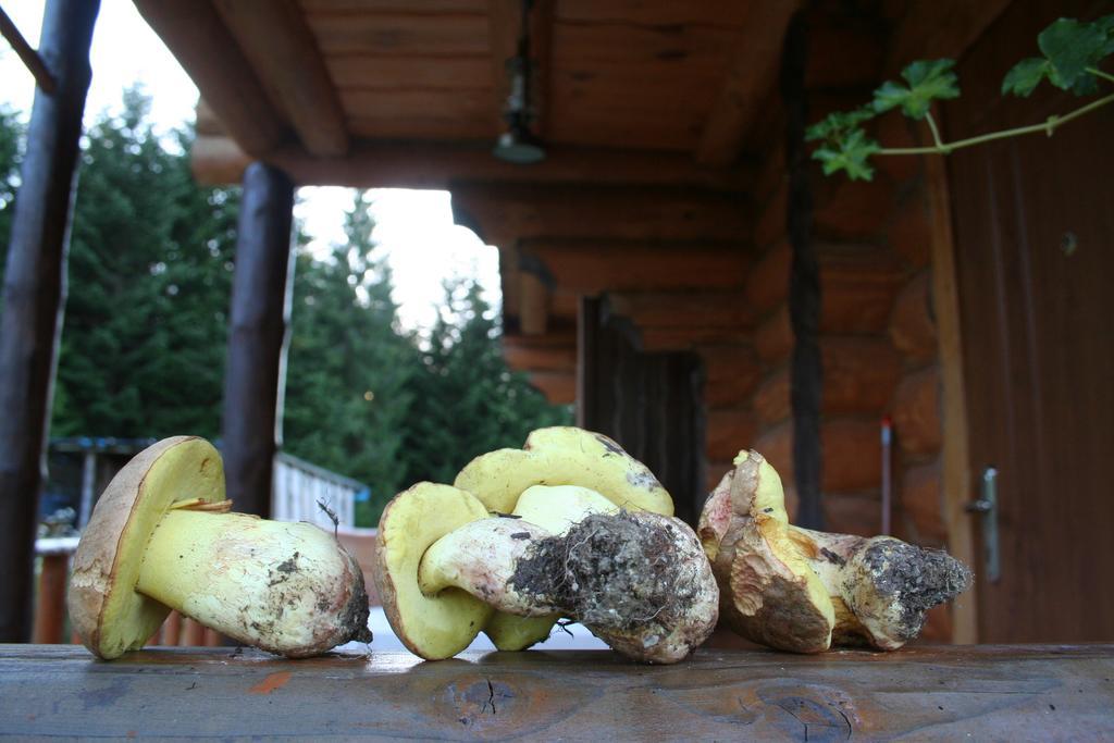 Sadyba Drymba Skhidnytsia Exterior foto